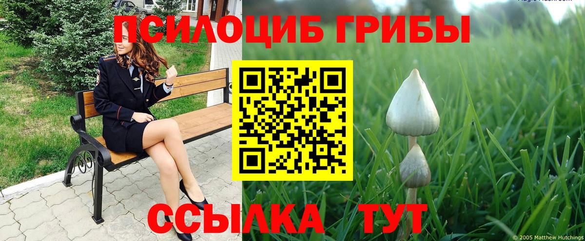 Галлюциногенные грибы Psilocybine cubensis Ялуторовск