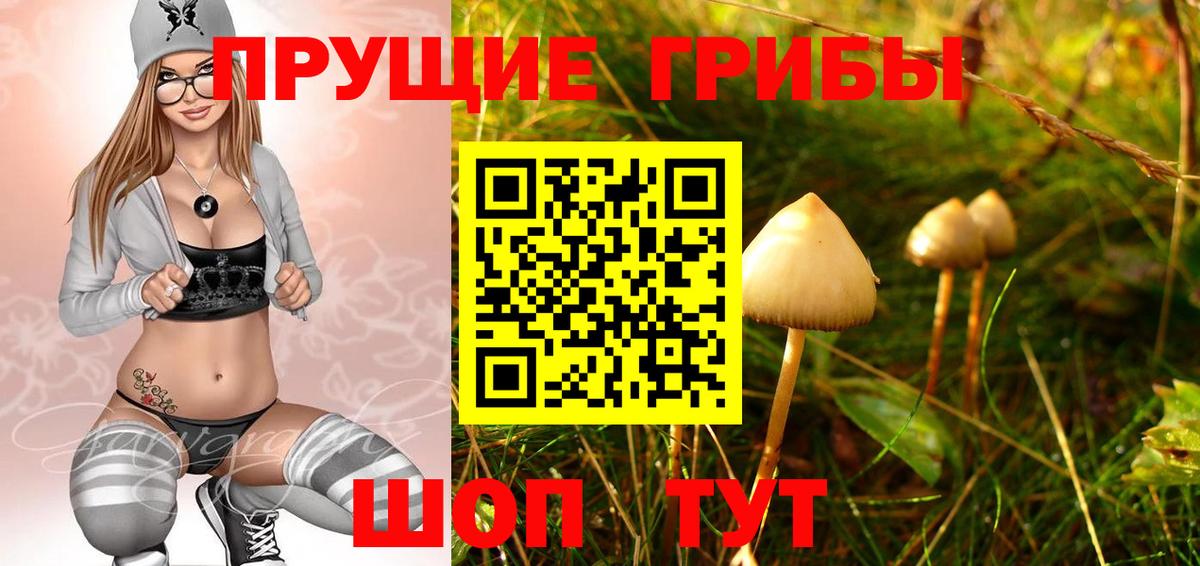 купить наркотик  Псилоцибиновые грибы ЛСД  Вход с VPN  Ялуторовск 